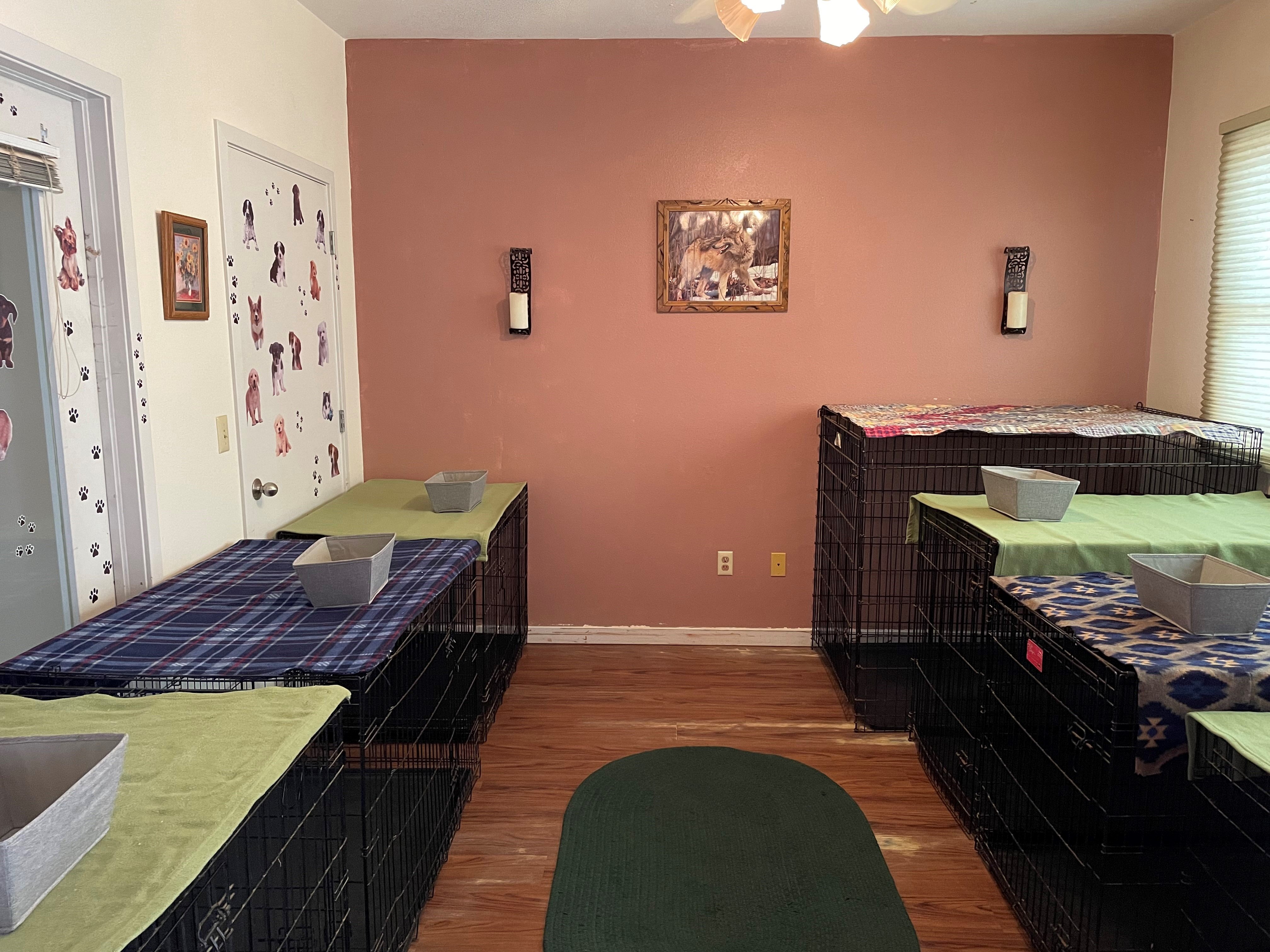 Estes Park Dog Grooming