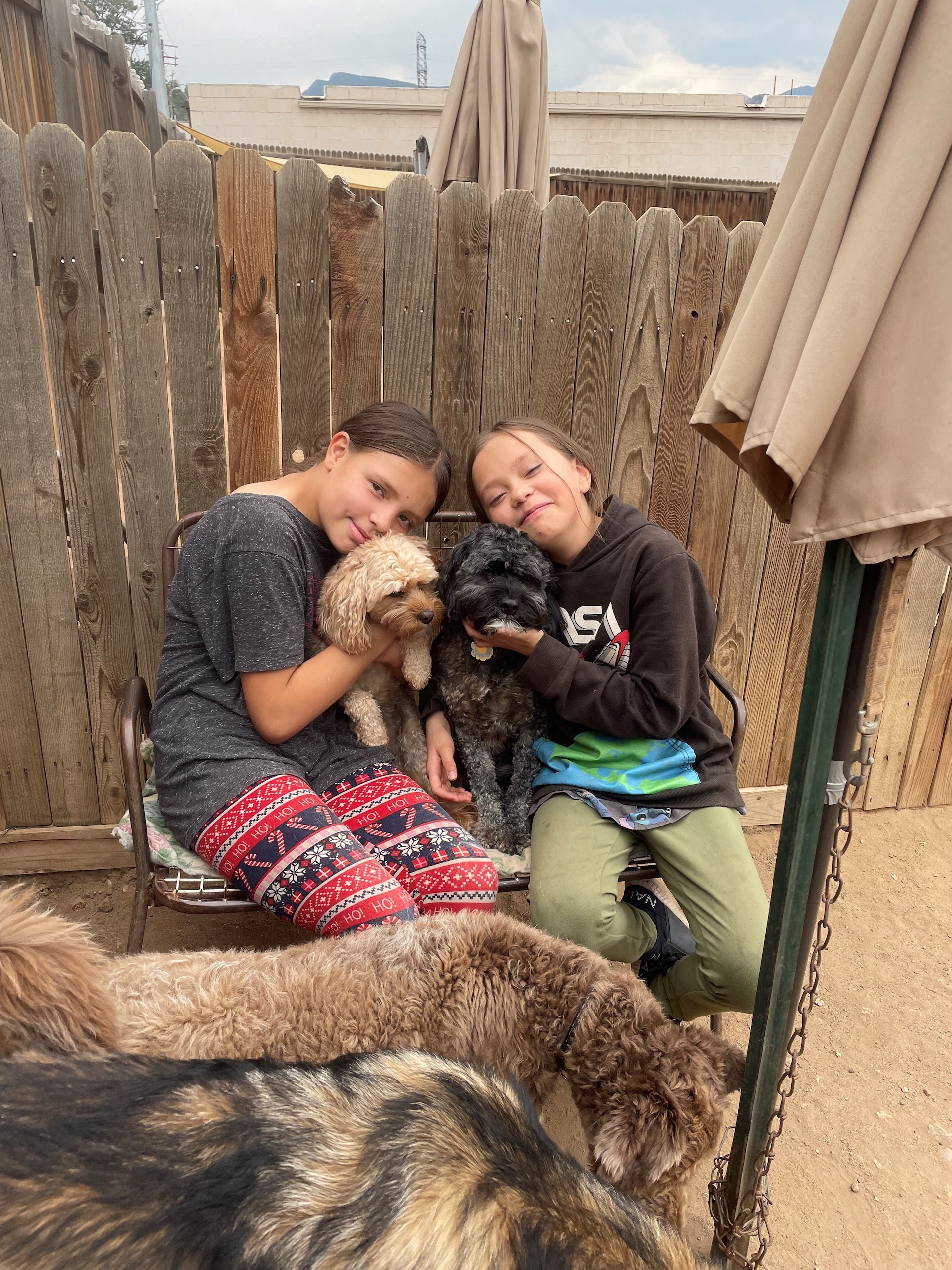 Estes Park Dog Boarding